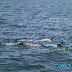 Nature Coast Charters - Scalloping in CrystaL River is so much fun!!! Come join us!!!