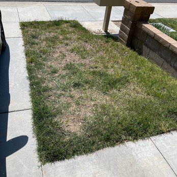 R&C Landscaping - Before - Landscaping Near Me