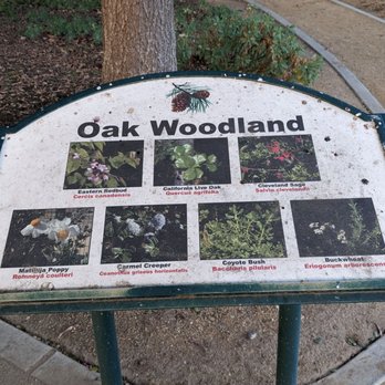 Monte Verde Park - Oak Woodland - Parks Near Me - Lakewood, California Monte Verde Park - Oak Woodland - Parks Near Me - Lakewood, California