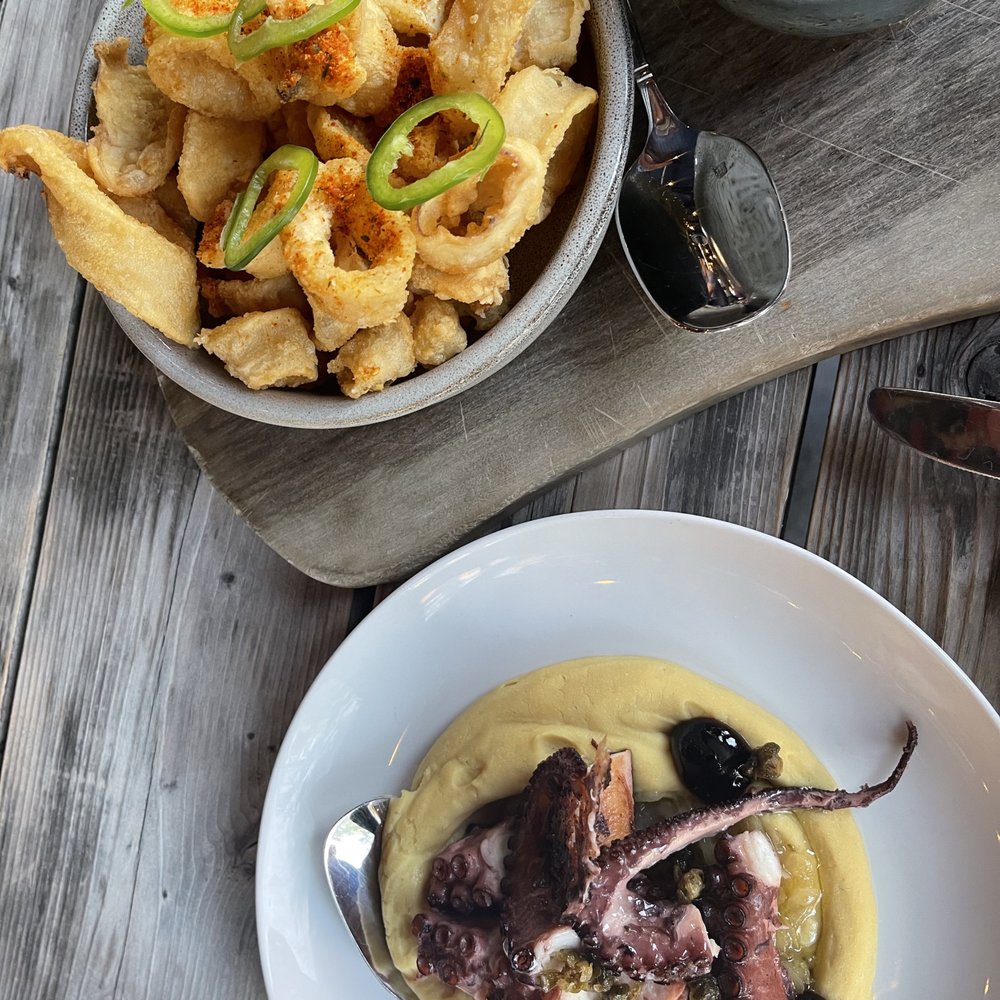 Vasili's Kitchen - Grilled Octopus & Fried Spicy Calamari - Mediterranean Near Me - Gaithersburg, Maryland Vasili's Kitchen - Grilled Octopus & Fried Spicy Calamari - Mediterranean Near Me - Gaithersburg, Maryland