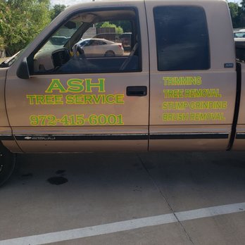 Ash Tree Service - Tree Services Near Me Ash Tree Service - Tree Services Near Me