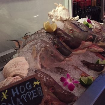 MesaMar Seafood Table - Hog Snapper. Featured fish here. - Seafood Near Me - Coral Gables, Florida MesaMar Seafood Table - Hog Snapper. Featured fish here. - Seafood Near Me - Coral Gables, Florida