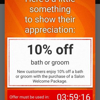 PetSmart Dog Training - The coupon that didn't work - Pet Stores Near Me - Jacksonville, Florida PetSmart Dog Training - The coupon that didn't work - Pet Stores Near Me - Jacksonville, Florida
