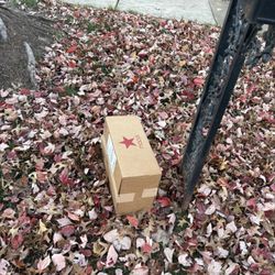 US Post Office - My package that USPS was too lazy to bring up to the door. I guess it didn't fit inside the mailbox huh?