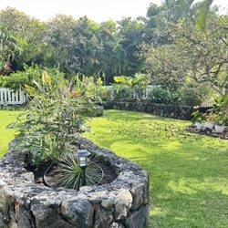 Ili Kupono Gardens Nursery & Farm - After