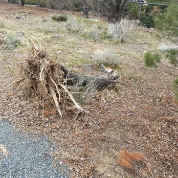 Ramirez Property Care - A stump which hasn't been taken away in 3 years. - Snow Removal Near Me Ramirez Property Care - A stump which hasn't been taken away in 3 years. - Snow Removal Near Me