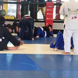 Halo Jiu Jitsu