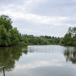 Greenfield Park