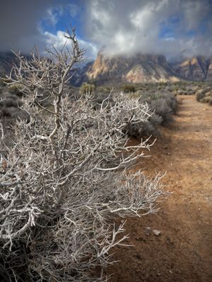 Red Rock Canyon by null