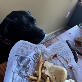 Rigby’s Roadhouse - Rigby beggin for a snack. - Barbeque Near Me - Livermore, Colorado