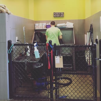 Perk-N-Pooch - Pet Groomers Near Me - Sandy Springs, Georgia Perk-N-Pooch - Pet Groomers Near Me - Sandy Springs, Georgia