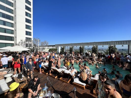 Mondrian Los Angeles by null