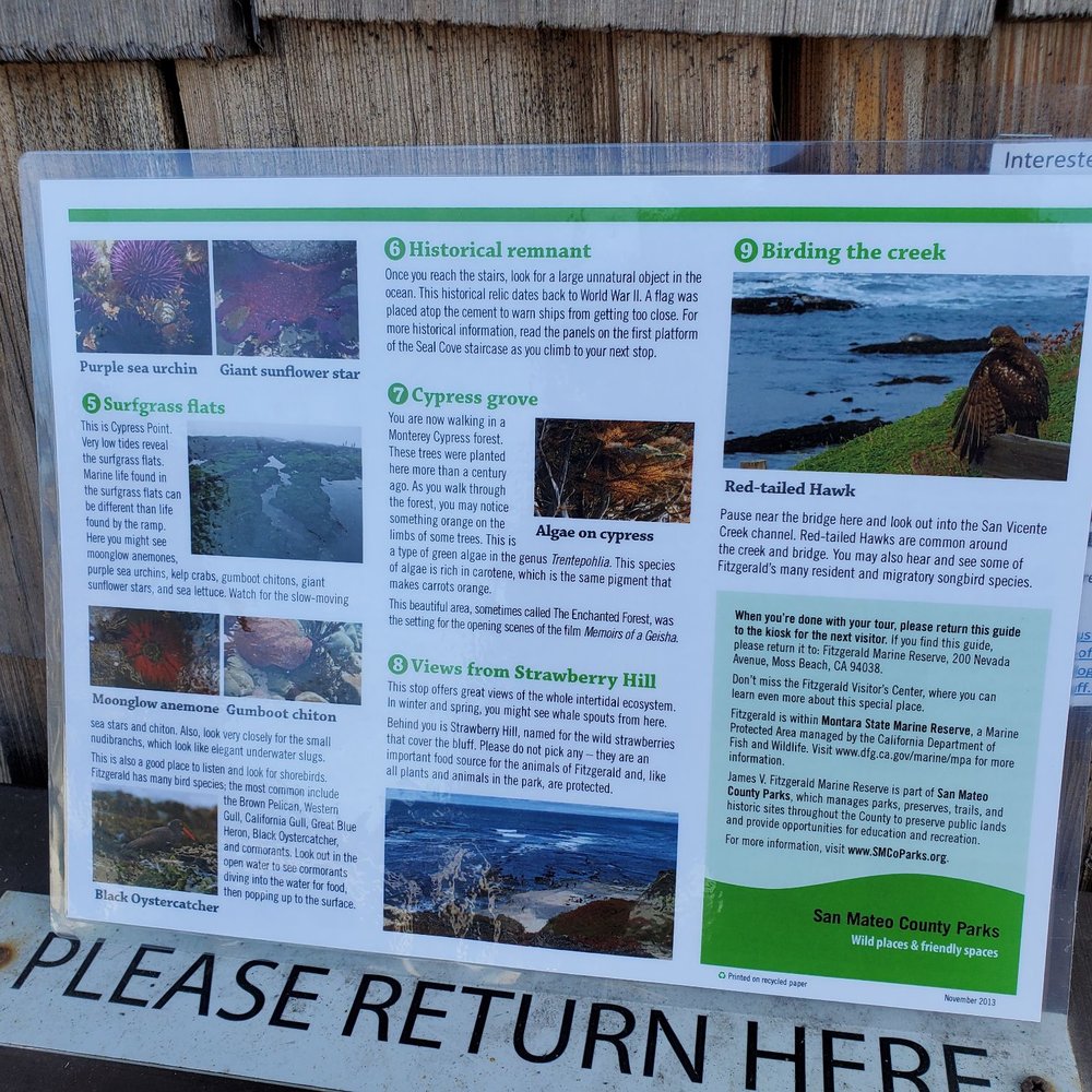 Fitzgerald Marine Reserve - Self guided tour - Parks Near Me - Moss Beach, California