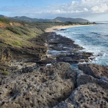 Hawaii Turtle Tours - Tours Near Me - Honolulu, Hawaii Hawaii Turtle Tours - Tours Near Me - Honolulu, Hawaii