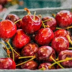 Stevenson Farmers Market