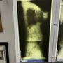Photo of Steiner Chiropractic Center