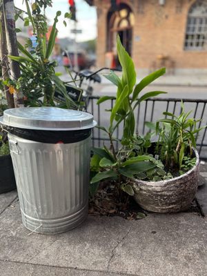 Flora Gallery & Coffee Shop by null