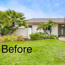 Overgrown before