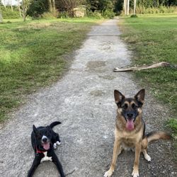 Unofficial Dog Park