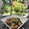 Schmooze gift card