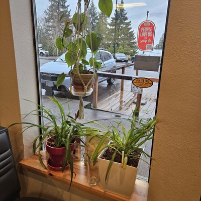 Milwaukie Pizza Co. by null