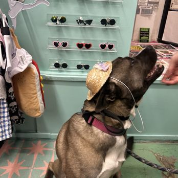 Peanut’s Clawset - Pet Stores Near Me - Tucson, Arizona Peanut’s Clawset - Pet Stores Near Me - Tucson, Arizona