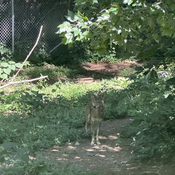 CONNECTICUT’S BEARDSLEY ZOO - Updated November 2024 - 354 Photos & 151 ...