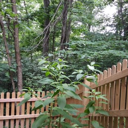 My fence installed by Clinton