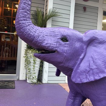 The Purple Elephant - Seafood Near Me - Northport, New York The Purple Elephant - Seafood Near Me - Northport, New York