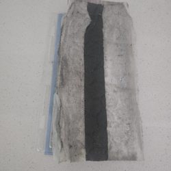 The mop pad after cleaning up after him. I failed to get pictures of the paper towels I used they were black.