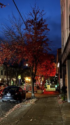 Division Wines by null