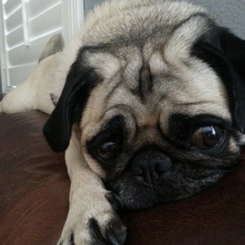 IKEA - Penelope is very dissatisfied with IKEA management! - Home Decor Near Me - Burbank, California