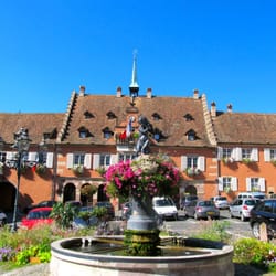 Barr - Fountain and Hotel d'Ville