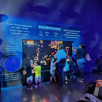 Discovery Cube Orange County - Children's Museums Near Me - Santa Ana, California Discovery Cube Orange County - Children's Museums Near Me - Santa Ana, California