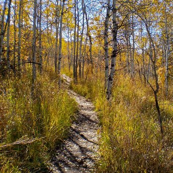 Trailtalk - Counseling & Mental Health Near Me - Park City, Utah