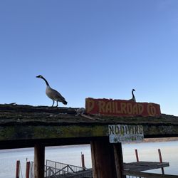 Featherbed Railroad Bed & Breakfast - There is an old pier that we could walk out on to get a good view of the lake