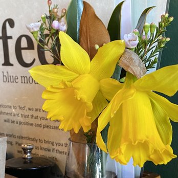 Fed - Bakeries Near Me - Wentworth Falls, NSW