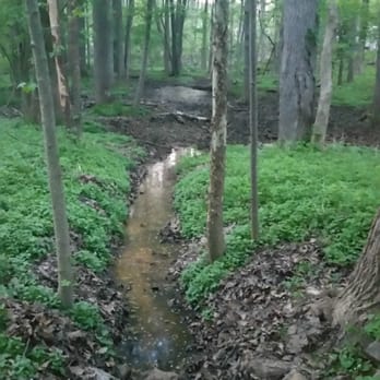 Sally Ormsby Park - Sally Ormsby Park: Along Trail - Hiking Near Me - Fairfax, Virginia Sally Ormsby Park - Sally Ormsby Park: Along Trail - Hiking Near Me - Fairfax, Virginia