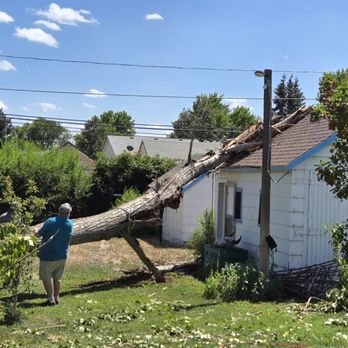 1. The Eldorado Tree Company