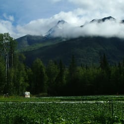 Arctic Organics