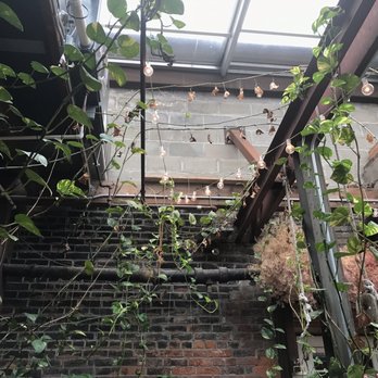Little Pecks - Vines!!! - Coffee & Tea Near Me - Troy, New York