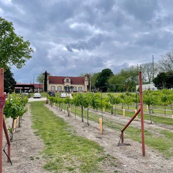 San Martino Winery - Wineries Near Me - Lavon, Texas San Martino Winery - Wineries Near Me - Lavon, Texas
