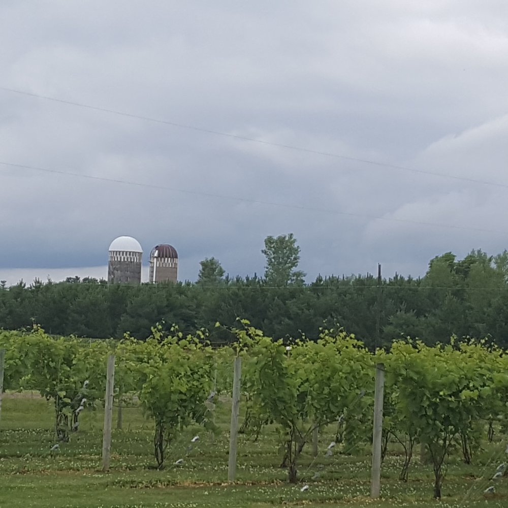River Bend Winery & Distillery - View from patio - Wineries Near Me - Chippewa Falls, Wisconsin River Bend Winery & Distillery - View from patio - Wineries Near Me - Chippewa Falls, Wisconsin