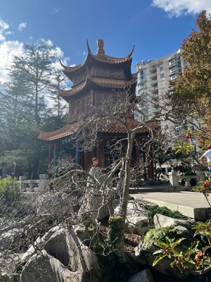Chinese Garden of Friendship by null