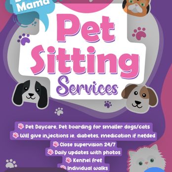 Doggy Mama - Pet Boarding Near Me Doggy Mama - Pet Boarding Near Me
