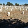 Photo of Fort Bayard National Cemetery