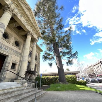 Petaluma Historical Museum - View from bench - Museums Near Me - Petaluma, California