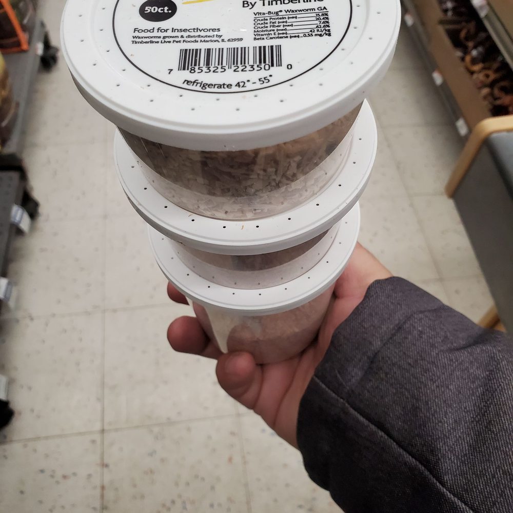 Grub for my dragon's.