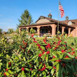 Country Pine Farm