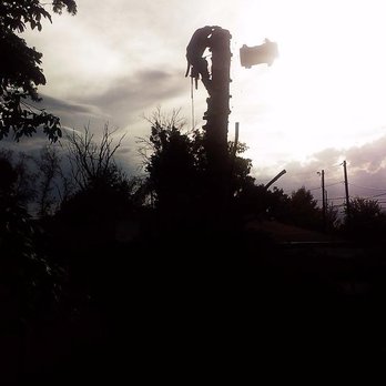 Golden Tree Service - Tree Services Near Me - Provo, Utah